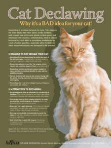 Medicine / Cruelty to animals / Anthrozoology / Animal welfare / Cat health / Dog health / Onychectomy / Veterinary medicine / Pets / Scratching post / Cat / Tendonectomy