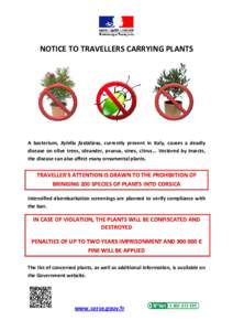 NOTICE TO TRAVELLERS CARRYING PLANTS  A bacterium, Xylella fastidiosa, currently present in Italy, causes a deadly disease on olive trees, oleander, prunus, vines, citrus... Vectored by insects, the disease can also affe
