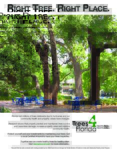 RIGHT TREE. RIGHT PLACE.  Florida lost millions of trees statewide due to hurricanes and our community health and property values have changed. Research shows that properly planted and maintained trees survive and cause 