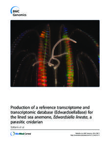 Production of a reference transcriptome and transcriptomic database (EdwardsiellaBase) for the lined sea anemone, Edwardsiella lineata, a