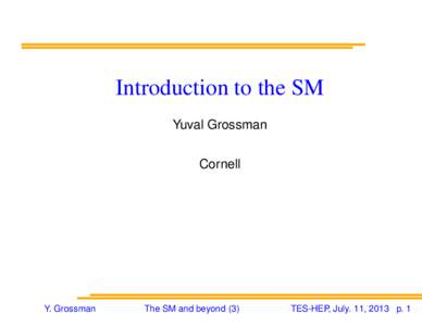 Introduction to the SM Yuval Grossman Cornell Y. Grossman