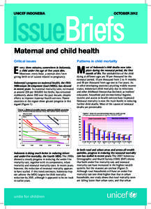 IssueBriefs UNICEF INDONESIA OCTOBERMaternal andIssue