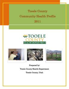 Tooele County Community Assessments Executive Summary