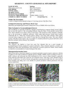 KILKENNY - COUNTY GEOLOGICAL SITE REPORT NAME OF SITE Other names used for site