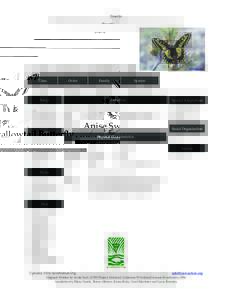 Insecta  Anise Swallowtail Butterfly Class  Order