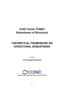    COST Action TU0601 Robustness of Structures  THEORETICAL FRAMEWORK ON