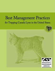 Best Management Practices  for Trapping Canada Lynx in the United States Best Management Practices (BMPs) are carefully researched educational guides designed to address animal welfare and increase trappers’ efficienc