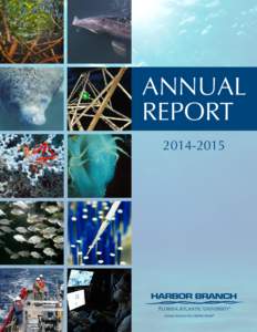 ANNUAL REPORT A Message From the