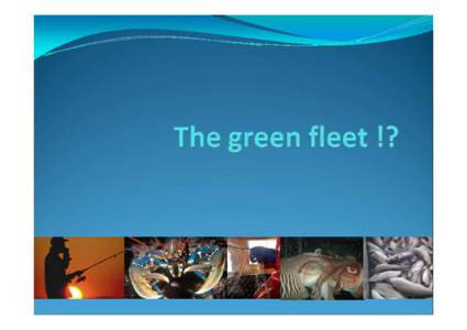 3_Marnix Verleene_The green fleet
