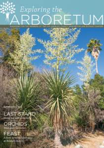 Exploring the  ARBORETUM magazine for the members of the LOS ANGELES COUNTY ARBORETUM AND BOTANIC GARDEN  summer/fall 2013