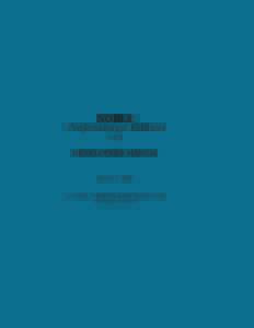 NOBLE Professional Edition v2.2 DEVELOPERS MANUAL  March 3, 2009