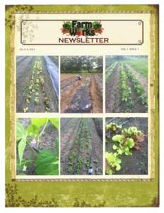 NEWSLETTER JULY 8, 2014 VOL.2 ISSUE 7  Veggie/Fruit of the Week
