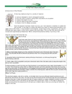 Tree Help Home > Pruning Trees Pruning Trees a step-by-step guide INTRODUCTION TO TREE PRUNING A tree may need pruning for a variety of reasons: · ·