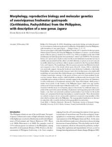 Morphology, reproductive biology and molecular genetics of ovoviviparous freshwater gastropods (Cerithioidea, Pachychilidae) from the Philippines, with description of a new genus Jagora Blackwell Science, Ltd