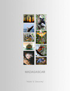 MADAGASCAR “Musts” & “Discovery”