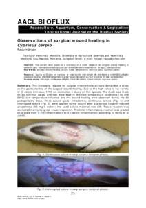AACL BIOFLUX Aquaculture, Aquarium, Conservation & Legislation International Journal of the Bioflux Society Observations of surgical wound healing in Cyprinus carpio
