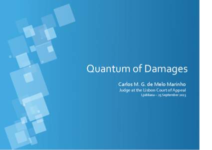 Quantum of damages - Carlos M G M Marinho