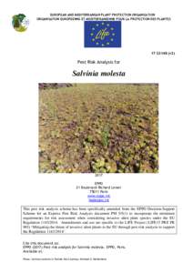 EUROPEAN AND MEDITERRANEAN PLANT PROTECTION ORGANIZATION ORGANISATION EUROPEENNE ET MEDITERRANEENNE POUR LA PROTECTION DES PLANTESv2)  Pest Risk Analysis for