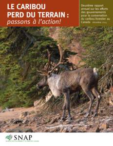 Le caribou perd du terrain : passons à l’action! Deuxième rapport annuel sur les efforts