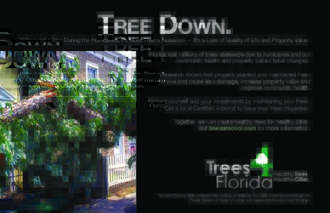 TREE DOWN.  If You Lost a Tree During the Hurricanes, It’s More Than a Nuisance — It’s a Loss of Quality of Life and Property Value. Florida lost millions of trees statewide due to hurricanes and our community heal