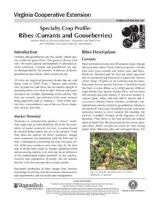 publicationSpecialty Crop Profile: Ribes (Currants and Gooseberries) Anthony Bratsch, Extension Specialist, Vegetables and Small Fruit