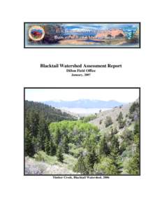 Blacktail Watershed Assessment Report Dillon Field Office January, 2007 Timber Creek, Blacktail Watershed, 2006