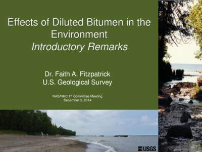 “ Effects of Diluted Bitumen in the Environment Introductory Remarks Dr. Faith A. Fitzpatrick