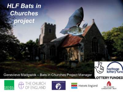 HLF Bats in Churches project Genevieve Madgwick – Bats in Churches Project Manager