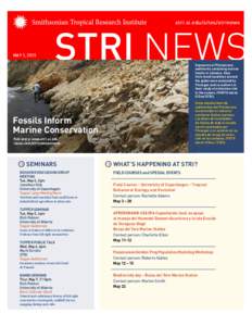 stri.si.edu/sites/strinews  MAY 1, 2015 Exposures of Pleistocene sediments containing marine fossils in Jamaica. Data