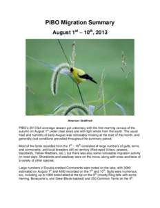 PIBO Migration Summary August 1st – 10th, 2013 American Goldfinch  PIBO’s 2013 fall coverage season got underway with the first morning census of the