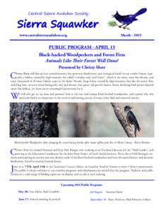Central Sierra Audubon Society  Sierra Squawker www.centralsierraaudubon.org