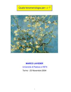Quale fenomenologia per i  MARCO LAVEDER Universita` di Padova e INFN Torino - 23 Novembre 2004