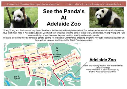 See the Panda’s At Adelaide Zoo Wang Wang and Funi are the only Giant Pandas in the Southern Hemisphere and the first to live permanently in Australia and we have them right here in Adelaide! Adelaide Zoo has been entr