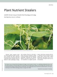 SPECTRUM  Plant Nutrient Stealers CAS/MPG Partner Group on Parasitic Plant Physiology and Ecology Kunming-Jena, [removed]–[removed]