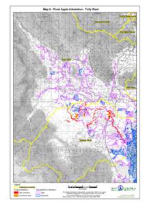 Map 9 - Pond Apple Infestation - Tully West North Maria Creek Liverpool Creek Big Maria Creek