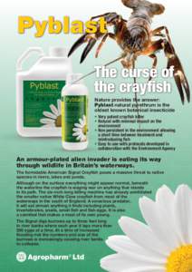 Pyblast The curse of the crayfish Nature provides the answer: Pyblast natural pyrethrum is the oldest known botanical insecticide