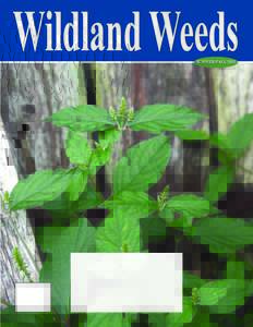 Wildland Weeds summer/fall summer/fall  Effective Invasive Weed Control Solutions
