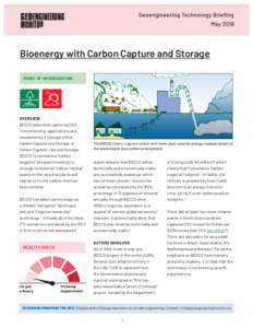 Geoengineering Technology Briefing May 2018 Bioenergy with Carbon Capture and Storage POINT OF INTERVENTION