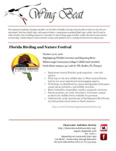 Birdwatching / Pinellas County /  Florida / EBird / National Audubon Society / Florida / Florida scrub jay / Great Florida Birding Trail / Ornithology / Birdwatchers