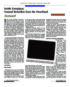 COPYRIGHT HEARTLAND HEALING MAGAZINE  Inside Energique, Natural Remedies from the Heartland by Michael Braunstein