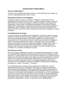 Microsoft Word - What is a misdemeanor Espanol.doc