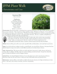 JPPM Plant Walk Characteristics and Uses American Elm Ulmus americana Classification Kingdom: Plantae