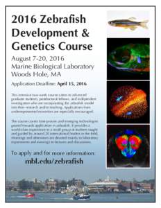 2016 Zebrafish Development & Genetics Course August 7-20, 2016 Marine Biological Laboratory Woods Hole, MA