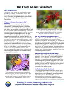 The Facts About Pollinators What is a Pollinator? A pollinator is any animal that transfers pollen grains from flower to flower. Bats, butterflies, beetles, bees, hummingbirds, and lemurs, among many other species, are a