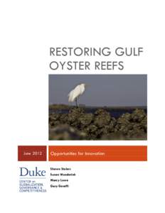 RESTORING GULF OYSTER REEFS JuneOpportunities for Innovation