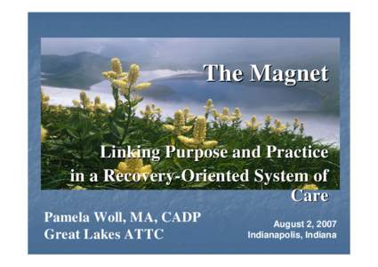 The Magnet Linking Purpose and Practice in a Recovery-Oriented System of Care Pamela Woll, MA, CADP Great Lakes ATTC