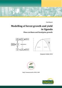 Final Report  Modelling of forest growth and yield in Uganda Pinus caribaea and Eucalyptus grandis