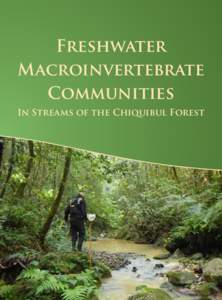 Freshwater Macroinvertebrate Communities In Streams of the Chiquibul Forest  1