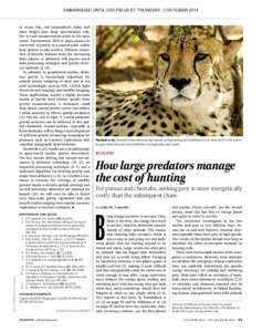 Predation / Biota / Ethology / Behavior / Fauna of South America / Carnivore / Cheetah / Ambush predator / Foraging / Bat / Cougar