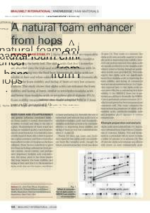 BRAUWELT international | Knowledge | Raw Materials  A natural foam enhancer from hops Improving foam stability | Alpha acids in hops are responsible